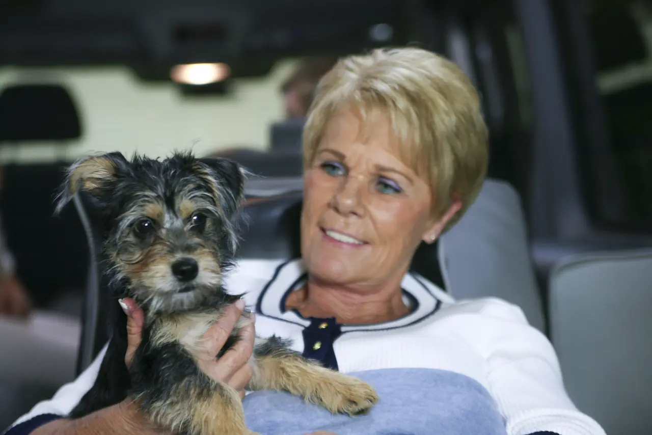 Passenger holding her small dog inside an ACC Medlink van